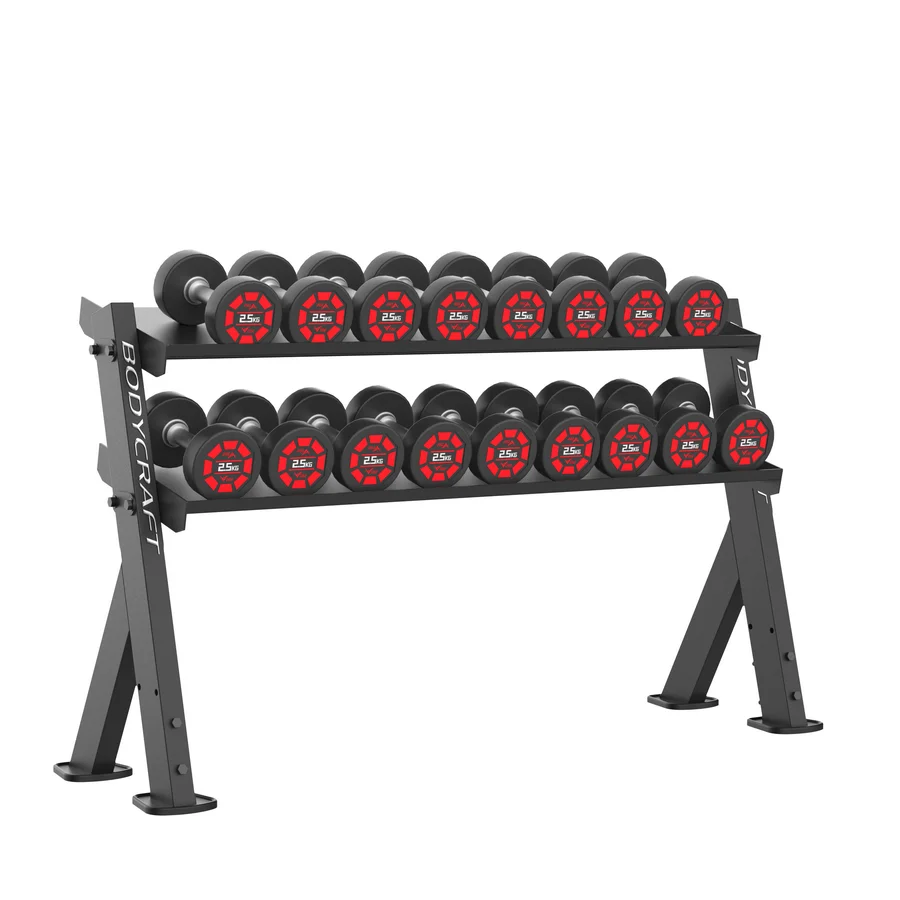 BodyCraft F540 commercial 2-tier dumbbell rack