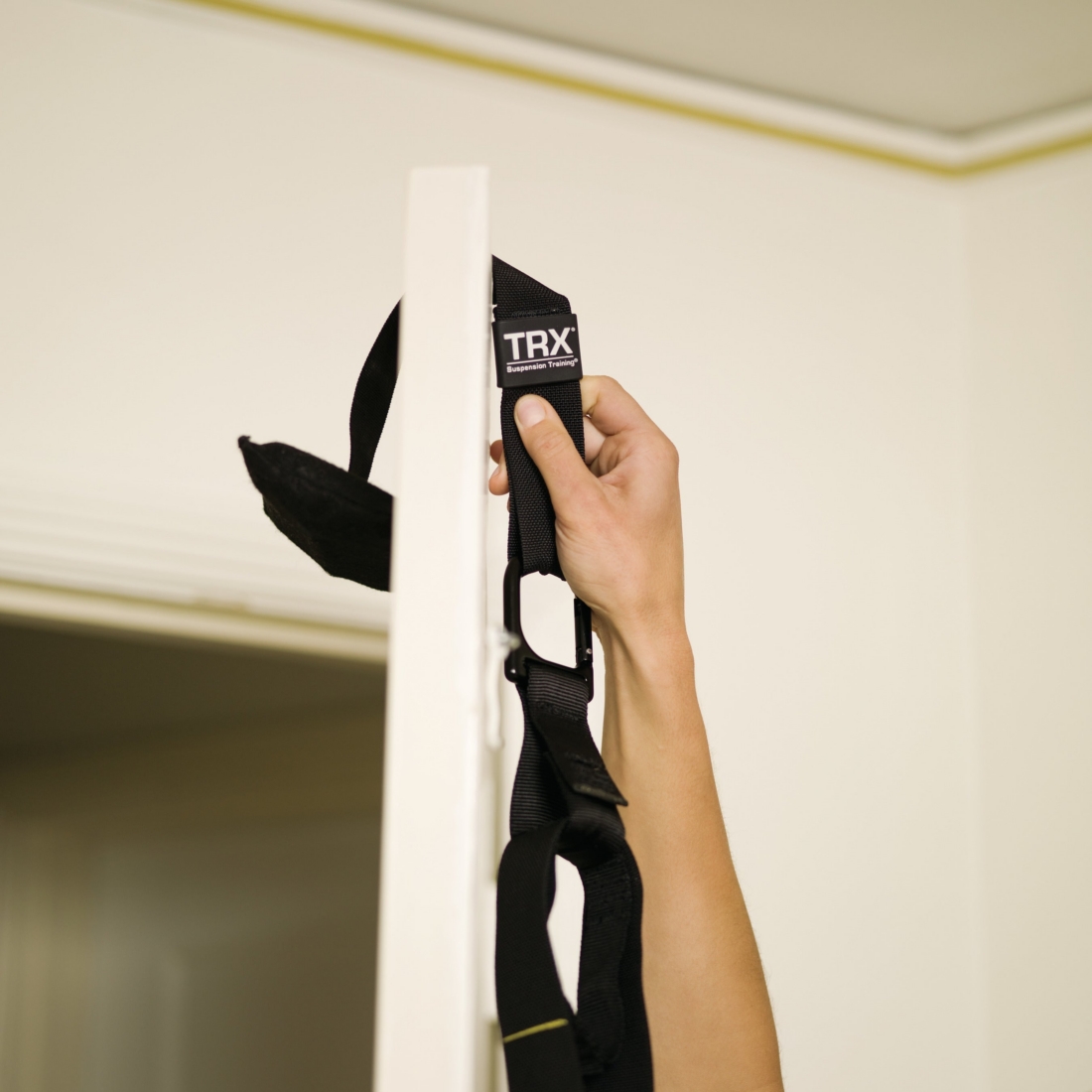 TRX Door Anchor alternate product view
