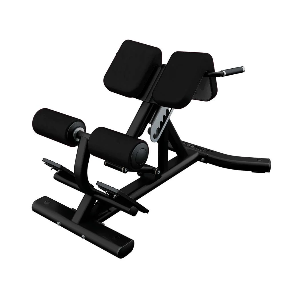 Life Fitness Back Extension, charcoal and black commercial strength bench