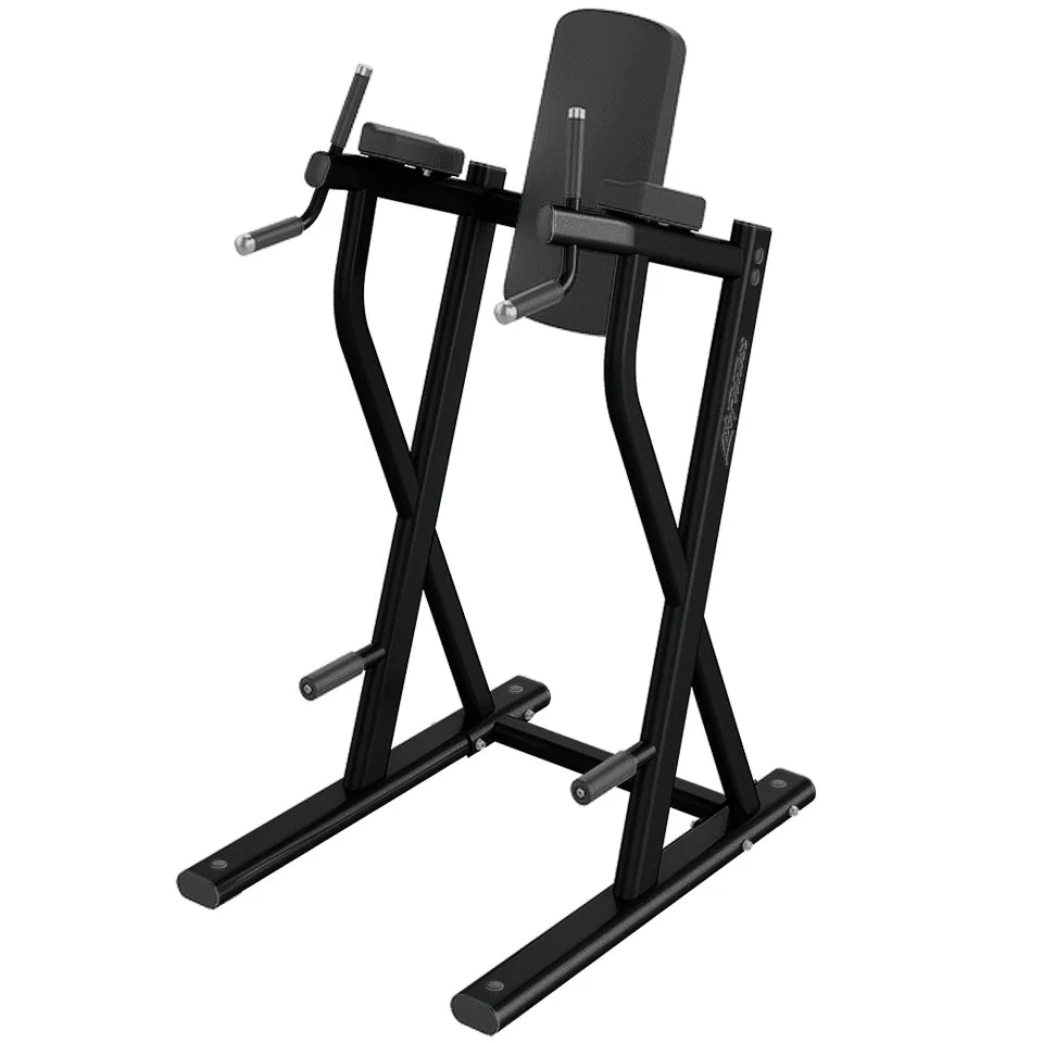 Life Fitness Dip/Leg Raise, charcoal and black commercial strength bench