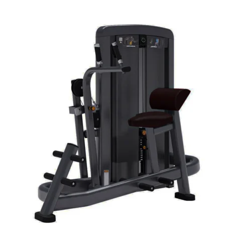 Life Fitness Insignia Series Abdominal Advanced selectorized strength machine, charcoal frame with black upholstery