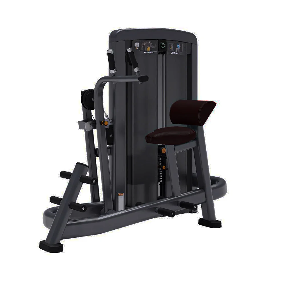 Life Fitness Insignia Series Abdominal Advanced selectorized strength machine, charcoal frame with black upholstery