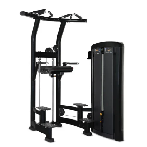 Life Fitness Insignia Series Assist Dip Chin selectorized strength machine, charcoal frame with black upholstery