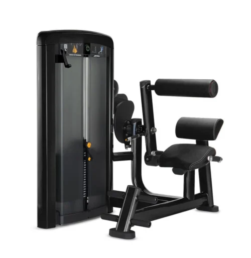 Life Fitness Insignia Series Back Extension selectorized strength machine, charcoal frame with black upholstery