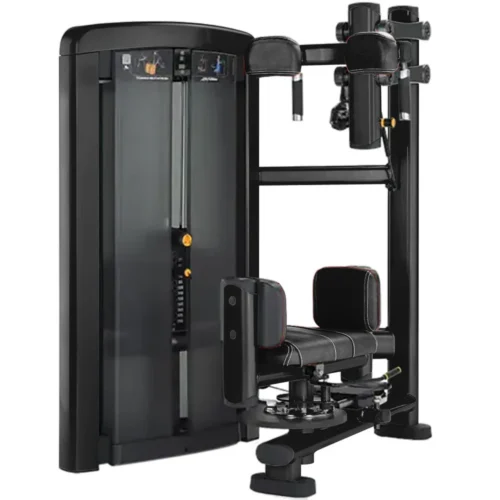 Life Fitness Insignia Series Torso Rotation selectorized strength machine, charcoal frame with black upholstery