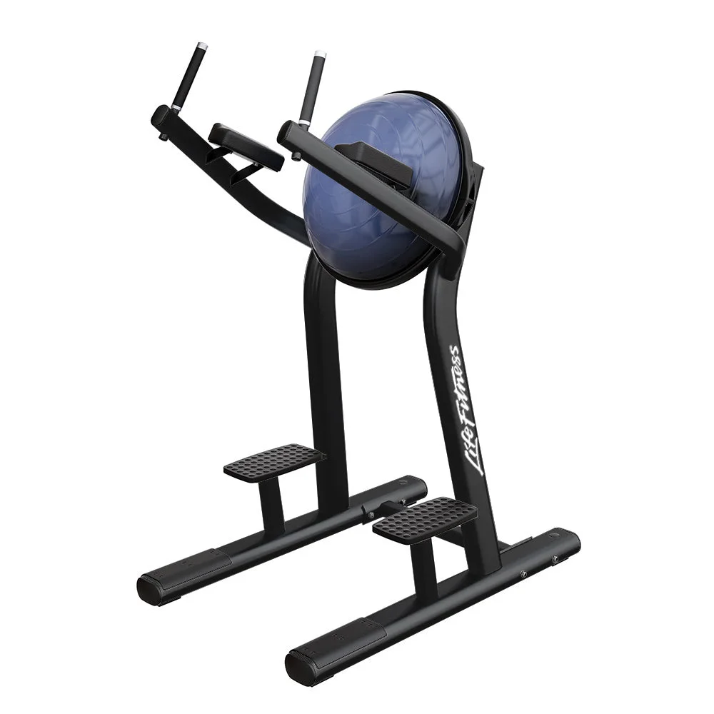 Life Fitness Leg Raise, charcoal and black commercial strength bench