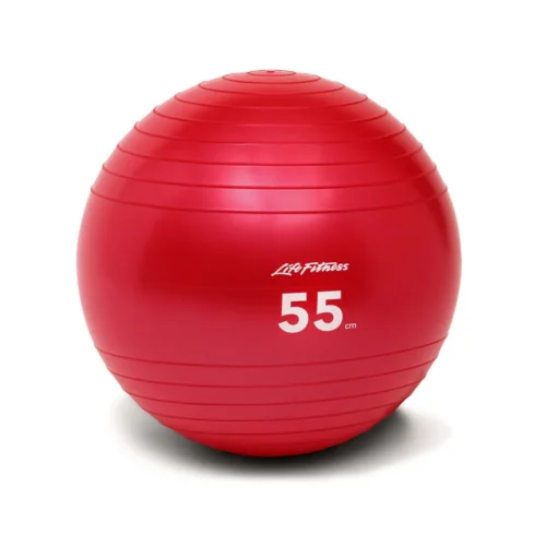 Life Fitness Stability Ball from Life Fitness