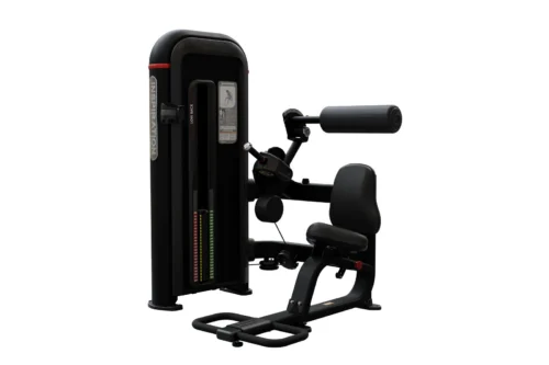 Nautilus Inspiration Back Extension commercial selectorized machine