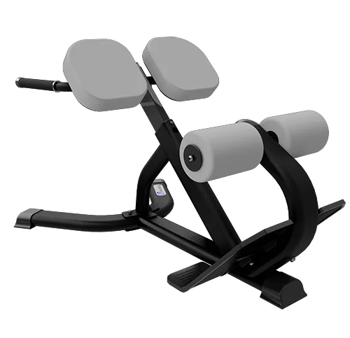 Nautilus Instinct 45-Degree Back Extension Bench commercial bench (9NN-B7502-60ARS)