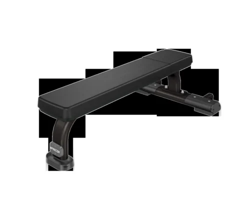 Precor DBR 101 Flat Bench commercial gym equipment – manufacturer front three-quarter render