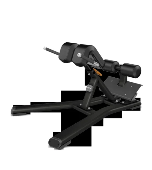 Precor DBR 312 Back Extension commercial gym equipment – manufacturer front three-quarter render