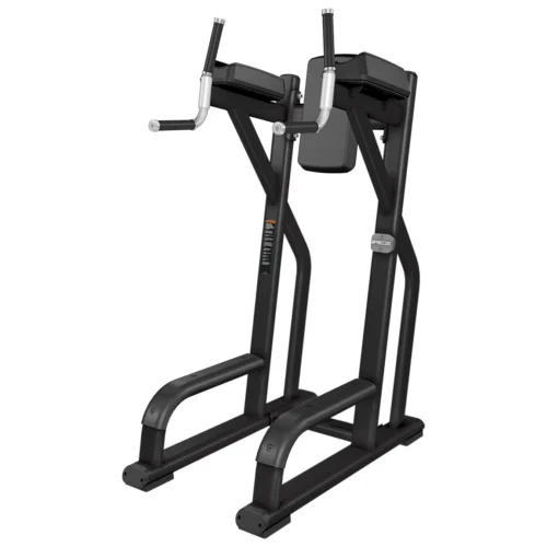 Precor DBR 702 Vertical Knee Up commercial gym equipment – manufacturer three-quarter studio render