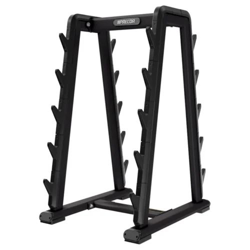 Precor DBR 808 Barbell Rack commercial gym equipment – manufacturer three-quarter studio render