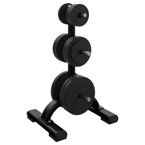 Precor DBR 817 Weight Plate Tree commercial gym equipment – manufacturer three-quarter studio render