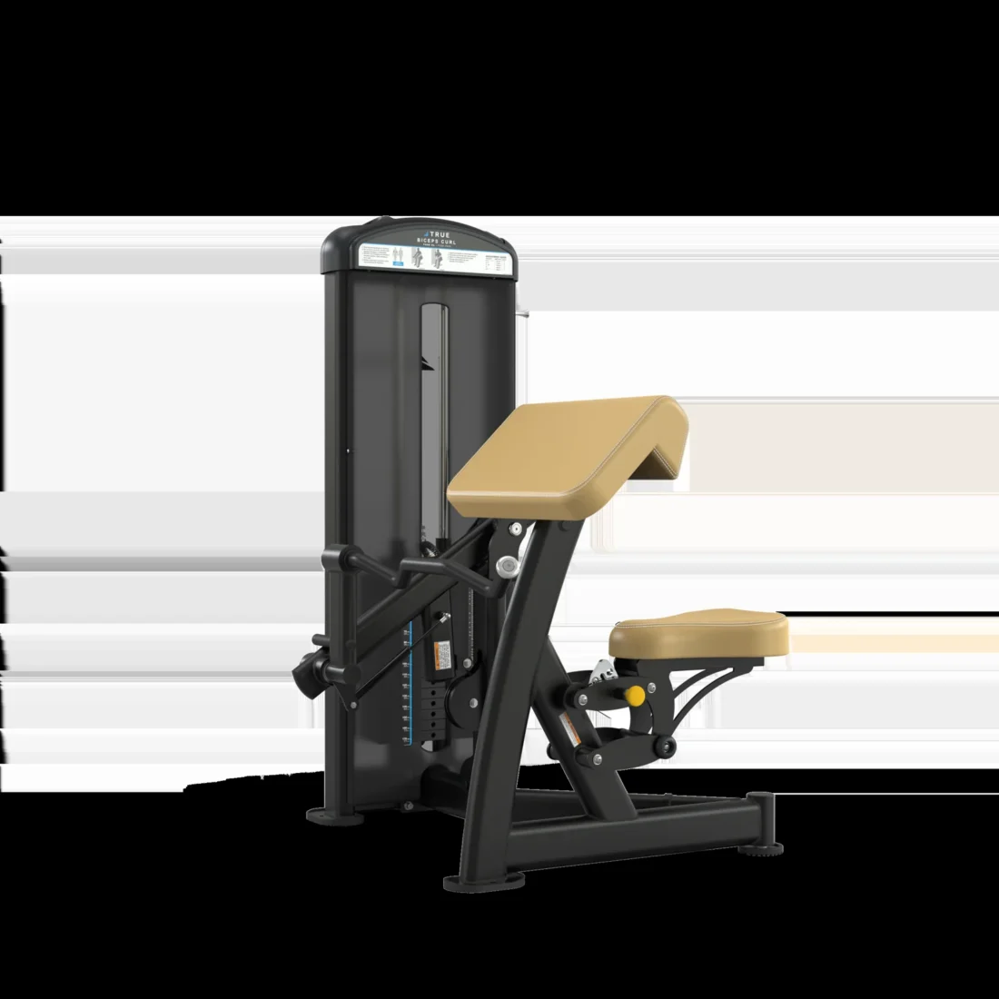 TRUE FUSE XL FUSE0600 Biceps Curl commercial selectorized strength machine, matte black
