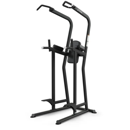 True Fitness Fitness Line FS23 Knee Raise / Dip / Chin Station