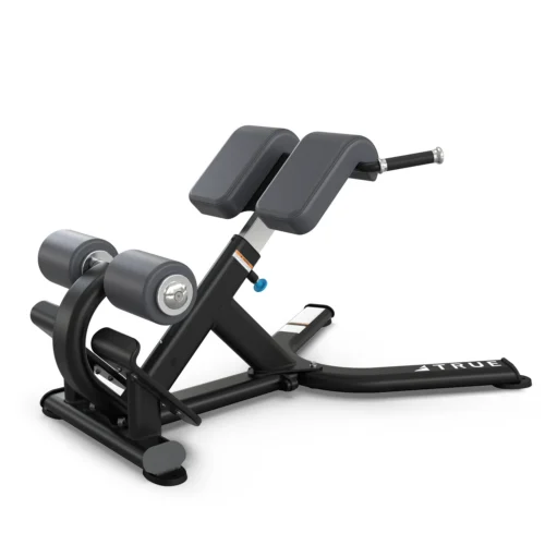 True Fitness XFW5600 Roman Bench / 45 Hyperextension