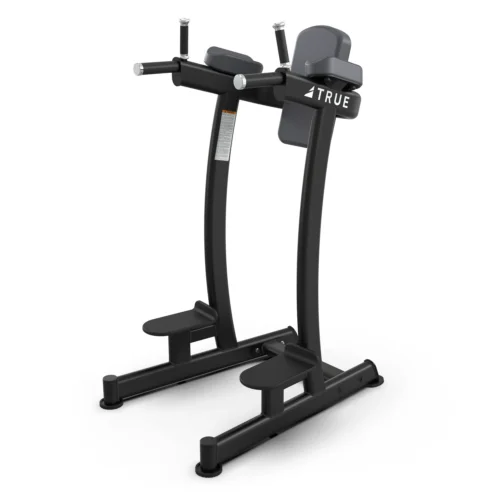 True Fitness XFW6400 Vertical Knee Raise / Dip